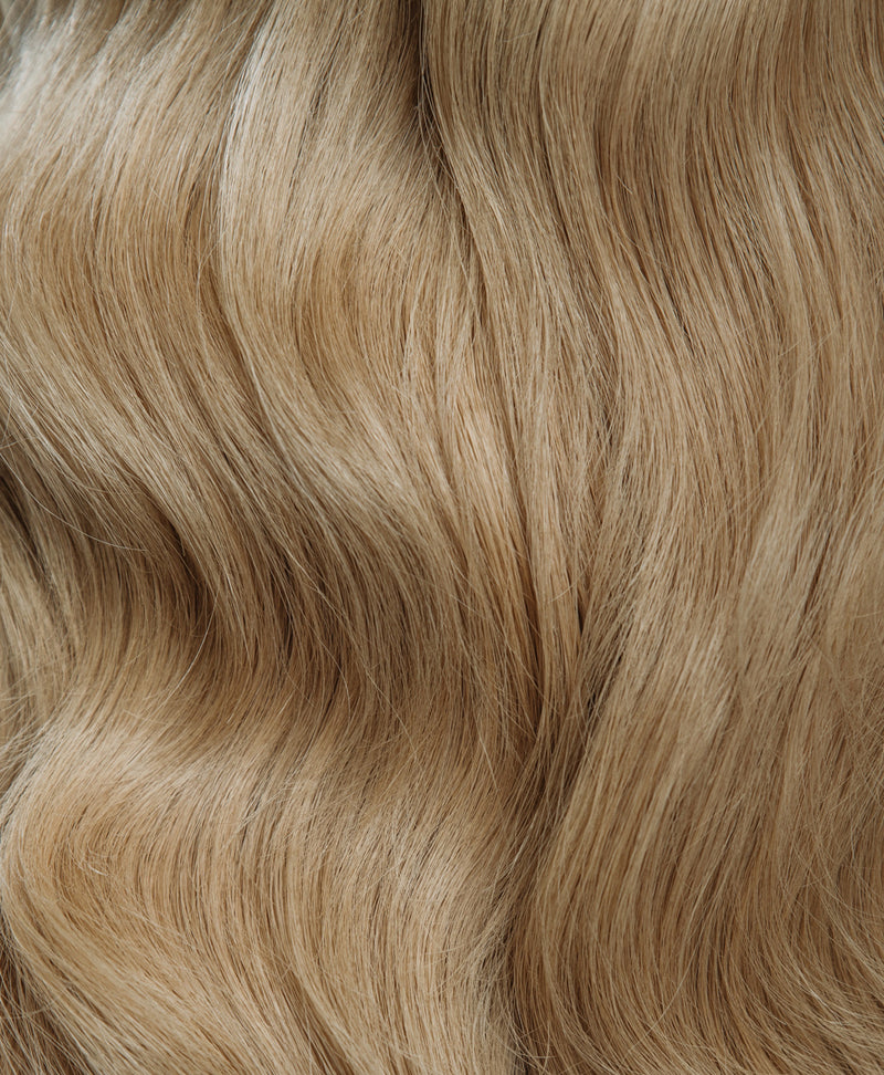 The Wow Wig